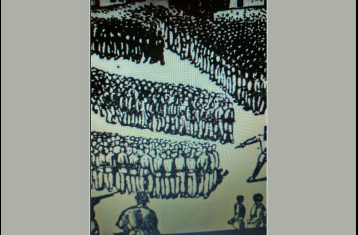 Μάντρα Κοκκινιάς -ΣΤΕΛΙΟΣ ΓΕΡΑΝΗΣ