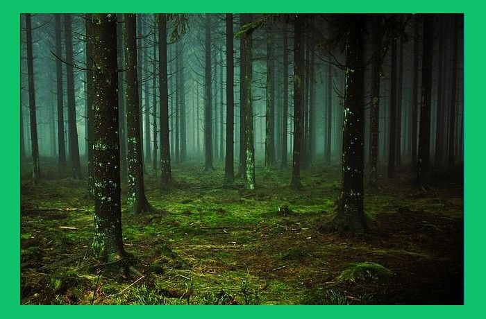 Ένα ποίημα για τον Νοέμβριο-ΕΜΙΛΙ ΝΤΙΚΙΝΣΟΝ