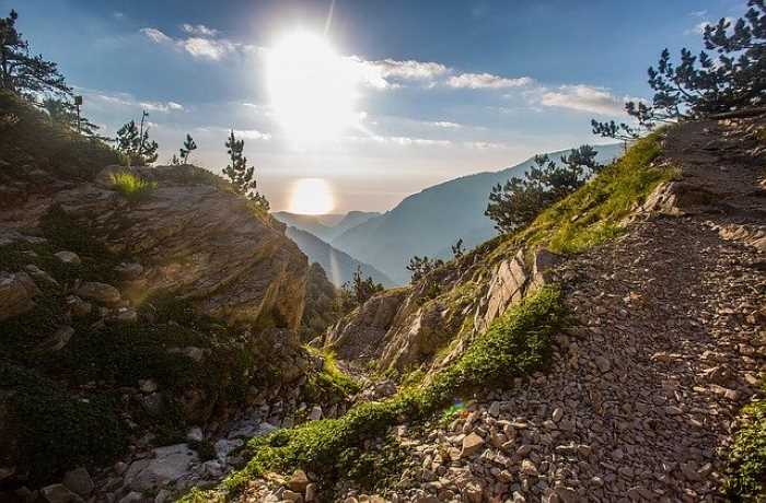 My Olympus-ΚΩΣΤΑΣ ΤΡΙΑΝΤΑΦΥΛΛΟΠΟΥΛΟΣ
