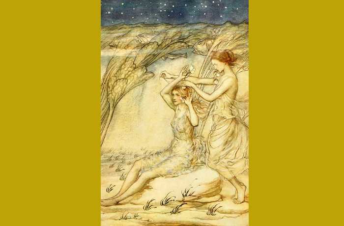 Όλες μαζί - ΕΛΕΝΗ ΒΑΚΑΛΟ
